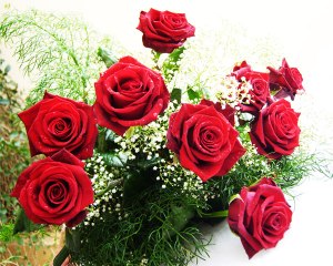 roses_red_9