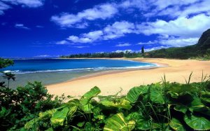 hawaii-beach-wallpaper